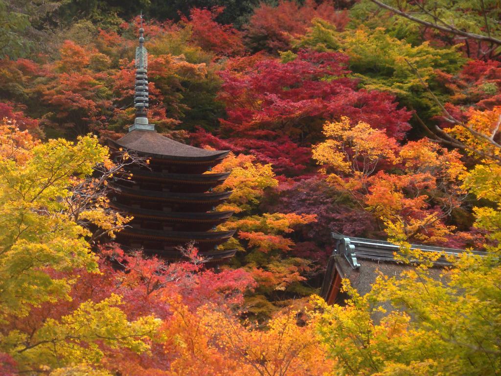 Hotel Yamabe Tenri Exteriér fotografie