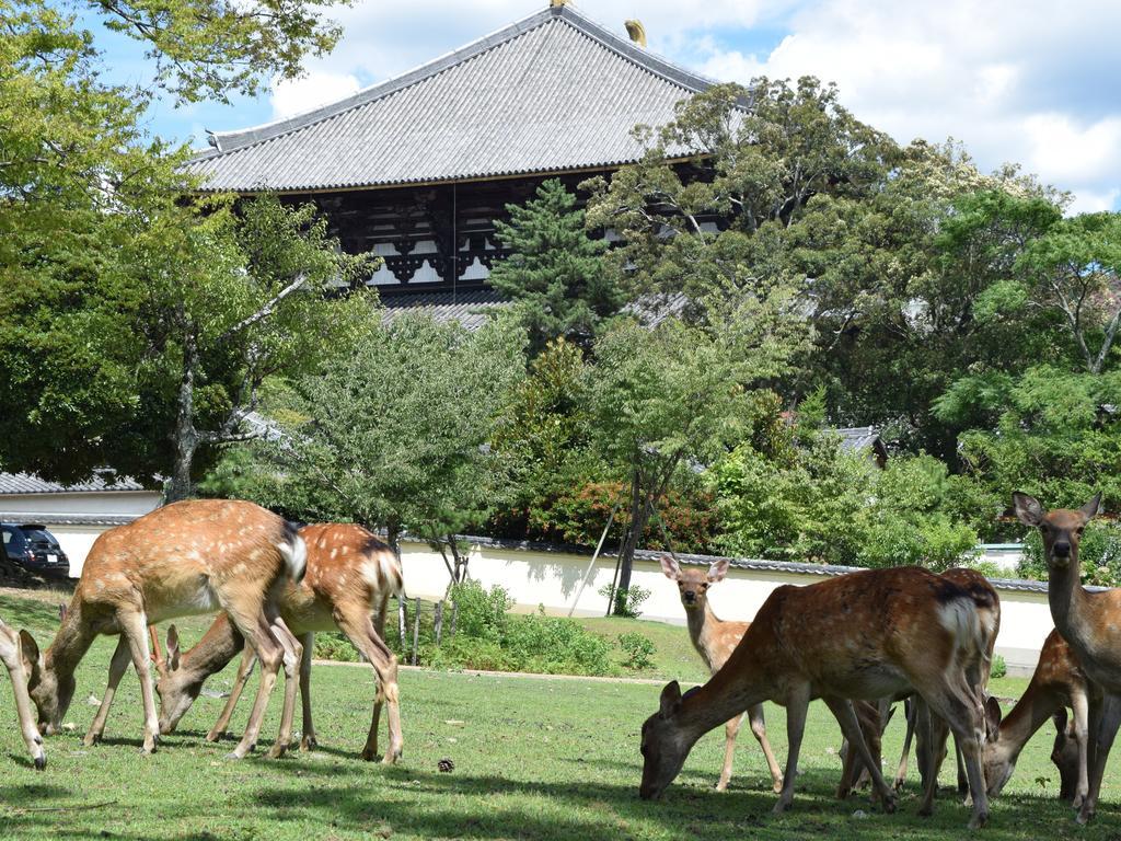 Hotel Yamabe Tenri Exteriér fotografie