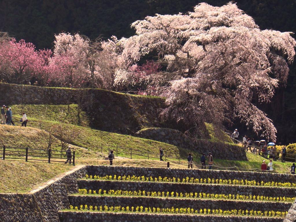 Hotel Yamabe Tenri Exteriér fotografie